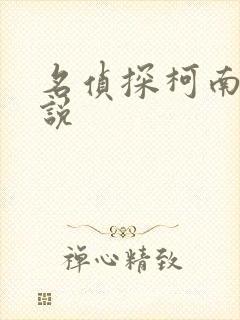 名侦探柯南h小说封面