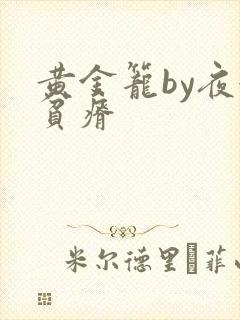 黄金笼by夜很贫瘠