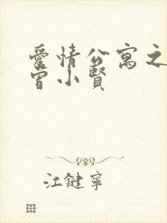 爱情公寓之极品曾小贤
