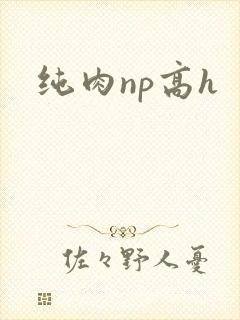 纯肉np高h