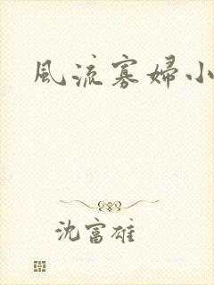 风流寡妇小说