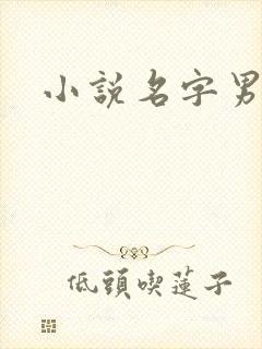 小说名字男生