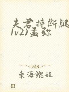 夫君摔断腿后(1v2)孟弥