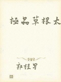 极品草根太子封面