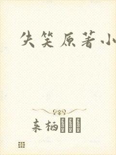 失笑原著小说封面