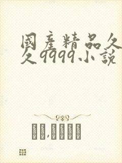 国产精品久久久久9999小说封面