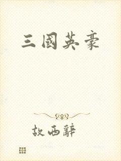 三国英豪封面