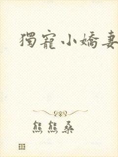 独宠小娇妻封面