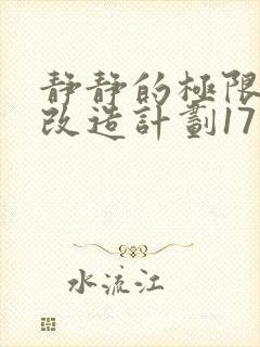 静静的极限自我改造计划17