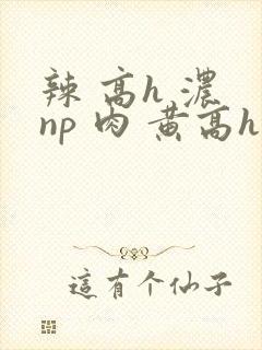 辣 高h 浓 np 肉 黄高h