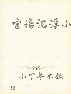 官场沉浮小说封面