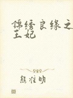 锦绣良缘之北地王妃