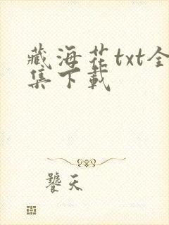 藏海花txt全集下载