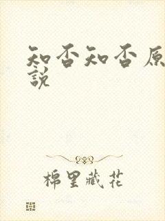知否知否原著小说