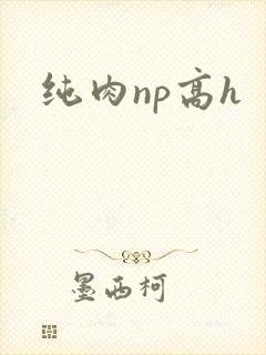 纯肉np高h