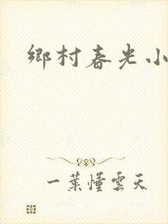 乡村春光小说
