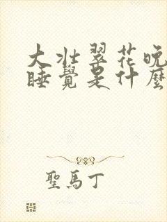 大壮翠花晚上不睡觉是什么电视剧封面