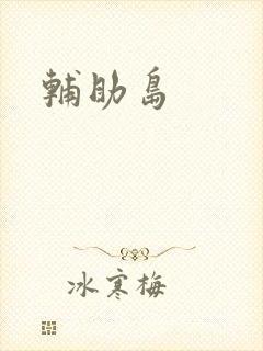 辅助岛