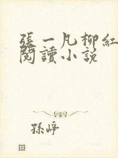 张一凡柳红免费阅读小说