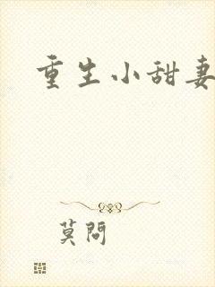 重生小甜妻封面