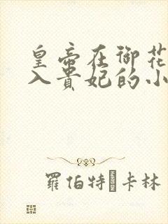 皇帝在御花园进入贵妃的小说