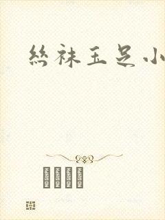 丝袜玉足小说