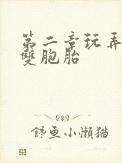 第二章玩弄少妇双胞胎