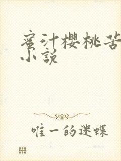蜜汁樱桃苦咖啡小说