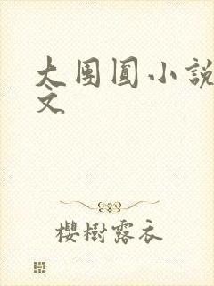 大团圆小说集全文
