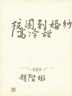 校园到婚纱1V1高冷甜