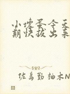 小坏蛋今天危险期快拔出来