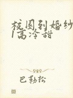 校园到婚纱1V1高冷甜