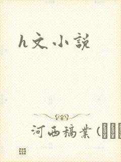 h文小说