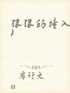 狠狠的撞入(h)