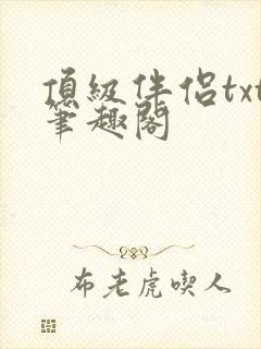 顶级伴侣txt笔趣阁