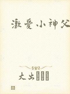 激爱小神父封面