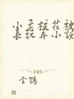 小柔校花被老校长玩弄小说封面