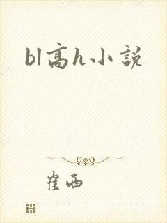 bl高h小说封面
