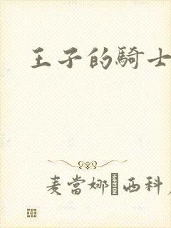 王子的骑士小说