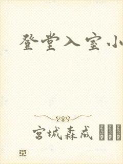 登堂入室小说