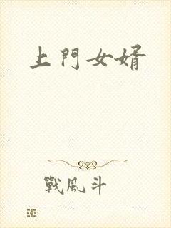上门女婿封面