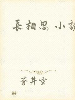 长相思 小说