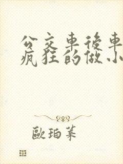 公交车后车座的疯狂的做小