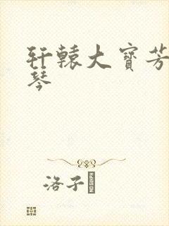 轩辕大宝芳菲雅琴