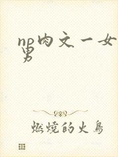 np肉文一女多男封面