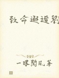 致命邂逅刘小寐