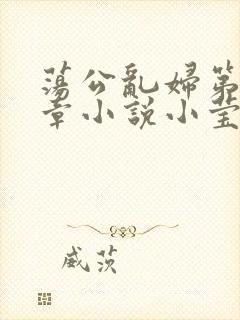 荡公乱妇第51章小说小莹