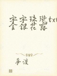 字字珠玑txt金银花露封面