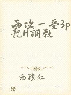 两攻一受3p双龙H调教