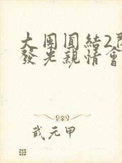 大团圆结2闪闪发光亲情会